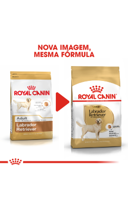 Royal Canin Labrador Retriever Adult – imagem secundária 2