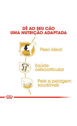 Royal Canin Labrador Retriever Adult – imagem secundária 4