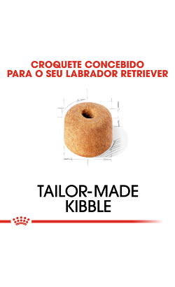 Royal Canin Labrador Retriever Adult – imagem secundária 5
