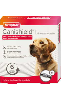 Royal Canin Labrador Retriever Adult – imagem secundária 6