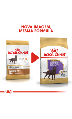 Royal Canin Labrador Retriever Adult Sterilised – imagem secundária 2