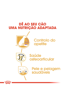 Royal Canin Labrador Retriever Adult Sterilised – imagem secundária 4