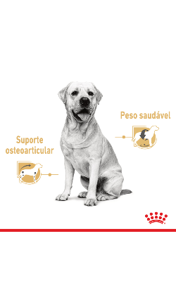Royal Canin Labrador Retriever Adult | Wet (saqueta) – imagem secundária 2