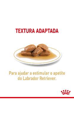 Royal Canin Labrador Retriever Adult | Wet (saqueta) – imagem secundária 3
