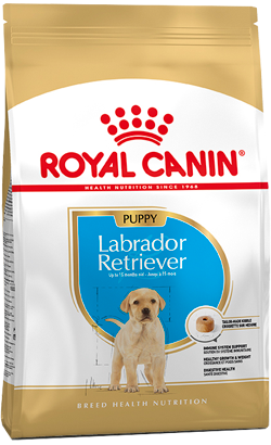 Royal Canin Labrador Retriever Puppy – imagem secundária 1