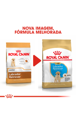 Royal Canin Labrador Retriever Puppy – imagem secundária 2