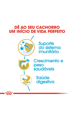 Royal Canin Labrador Retriever Puppy – imagem secundária 5