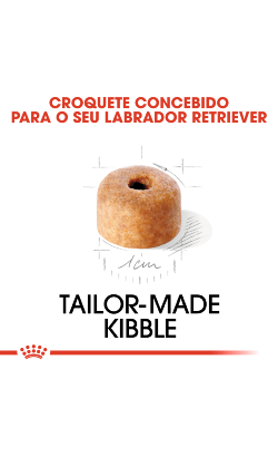 Royal Canin Labrador Retriever Puppy – imagem secundária 6