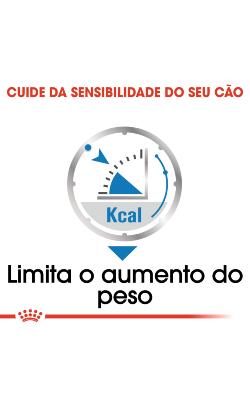 Royal Canin Light Weight Care – imagem secundária 3