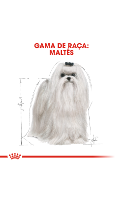 Royal Canin Maltese Adult – imagem secundária 3