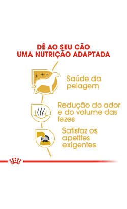 Royal Canin Maltese Adult – imagem secundária 4