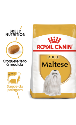 Royal Canin Maltese Adult – imagem principal