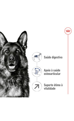 Royal Canin Maxi Adult 5+ – imagem secundária 1
