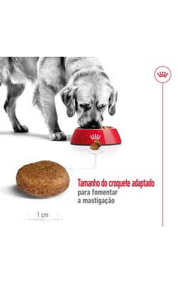Royal Canin Maxi Adult 5+ – imagem secundária 3