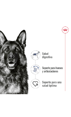Royal Canin Maxi Adult 5+ Loaf – imagem secundária 1