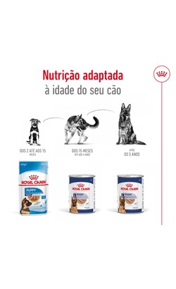 Royal Canin Maxi Adult 5+ Loaf – imagem secundária 3