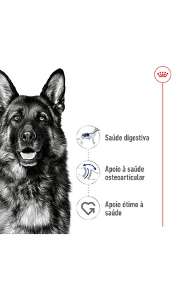 Royal Canin Maxi Adult - Bónus – imagem secundária 1
