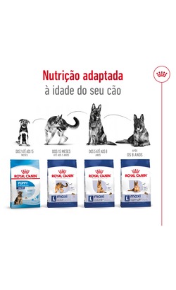 Royal Canin Maxi Adult - Bónus – imagem secundária 4