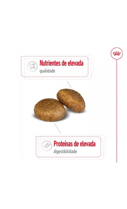 Royal Canin Maxi Adult – imagem secundária 2