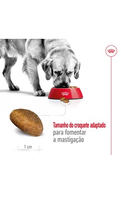 Royal Canin Maxi Adult – imagem secundária 3