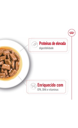 Royal Canin Maxi Ageing 8+ – imagem secundária 3