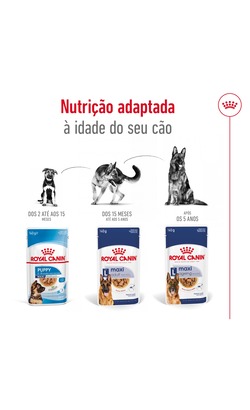 Royal Canin Maxi Ageing 8+ – imagem secundária 4