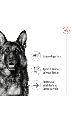 Royal Canin Maxi Ageing 8 + – imagem secundária 1