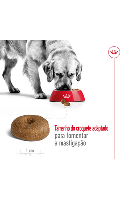 Royal Canin Maxi Ageing 8 + – imagem secundária 3