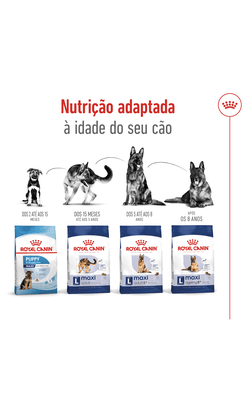 Royal Canin Maxi Ageing 8 + – imagem secundária 4