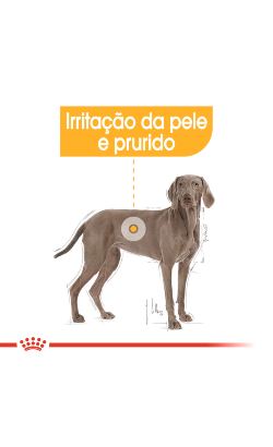 Royal Canin Maxi Dermacomfort – imagem secundária 3