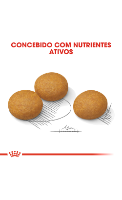 Royal Canin Maxi Dermacomfort – imagem secundária 5