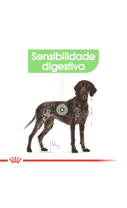 Royal Canin Maxi Digestive Care – imagem secundária 3