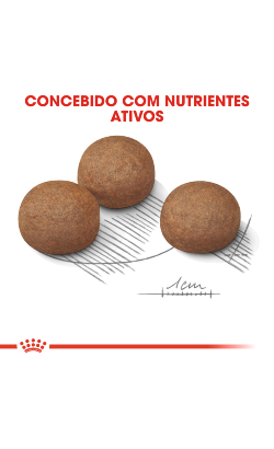 Royal Canin Maxi Digestive Care – imagem secundária 5