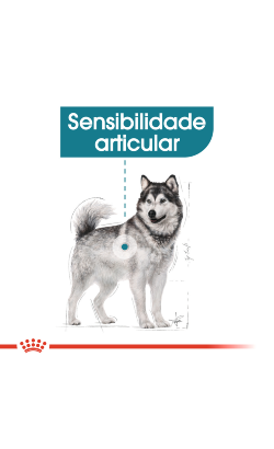 Royal Canin Maxi Joint Care – imagem secundária 3
