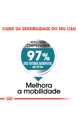 Royal Canin Maxi Joint Care – imagem secundária 4
