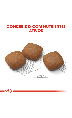 Royal Canin Maxi Joint Care – imagem secundária 5