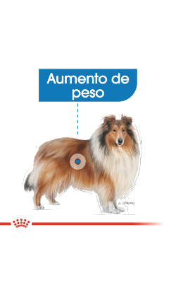 Royal Canin Maxi Light Weight Care – imagem secundária 3
