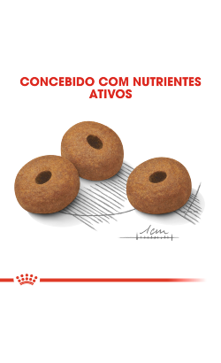 Royal Canin Maxi Light Weight Care – imagem secundária 5