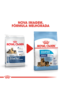 Royal Canin Maxi Starter – imagem secundária 2