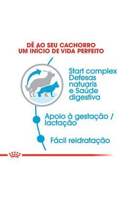 Royal Canin Maxi Starter – imagem secundária 4