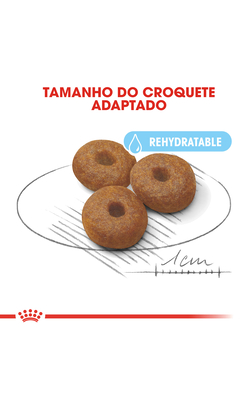 Royal Canin Maxi Starter – imagem secundária 5