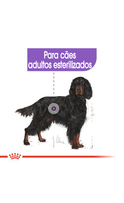 Royal Canin Maxi Sterilised Adult – imagem secundária 3