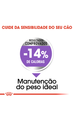Royal Canin Maxi Sterilised Adult – imagem secundária 4