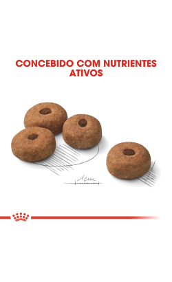 Royal Canin Maxi Sterilised Adult – imagem secundária 5