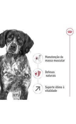 Royal Canin Medium Adult 7+ – imagem secundária 1