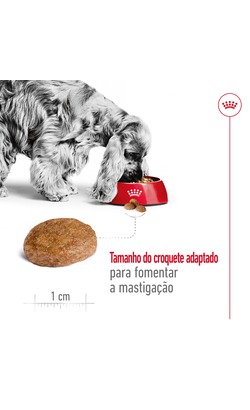Royal Canin Medium Adult 7+ – imagem secundária 3