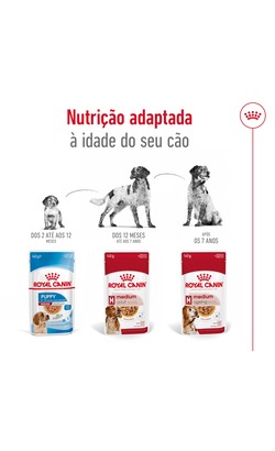 Royal Canin Medium Adult – imagem secundária 4