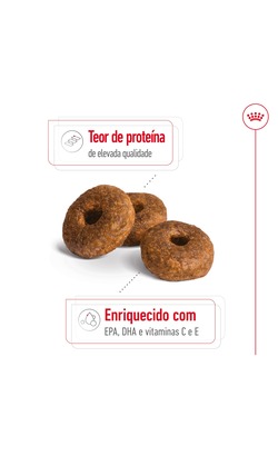 Royal Canin Medium Ageing 10 + – imagem secundária 2
