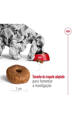 Royal Canin Medium Ageing 10 + – imagem secundária 3