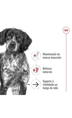 Royal Canin Medium Ageing 7+ Loaf – imagem secundária 1